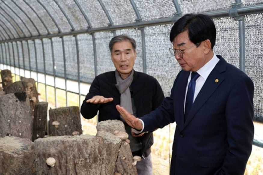 장흥 표고.jpg